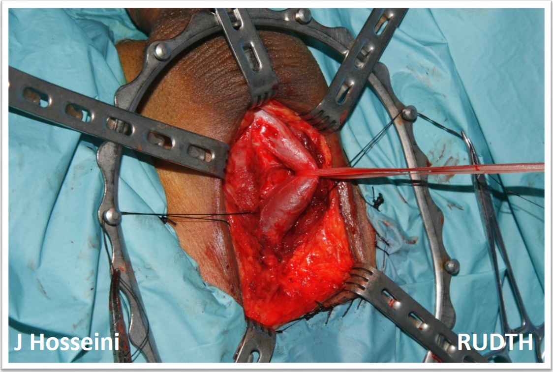 دوره فلوشیپ و فارغ التحصیلان دوره فلوشیپ و فارغ التحصیلان