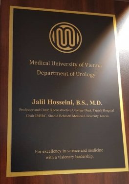 شهر وین (اتریش) - پروفسور بازدید کننده 2018